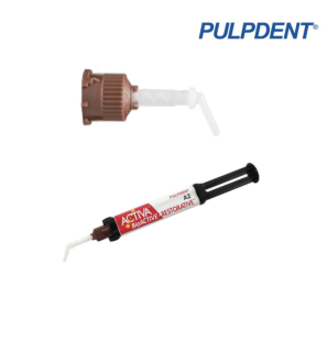 Embout Activa marron court - PULPDENT - 50u