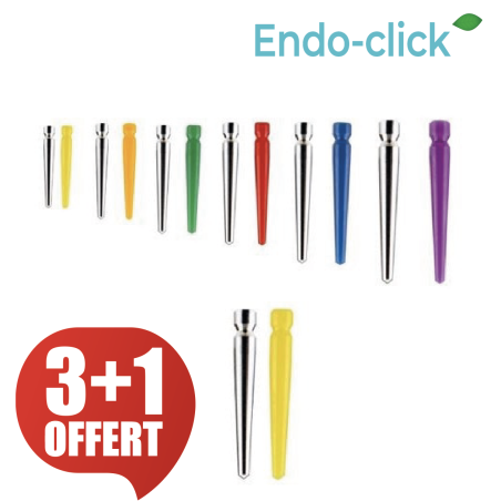 Tenons coniques - ENDO-CLICK - calcinables ou inox