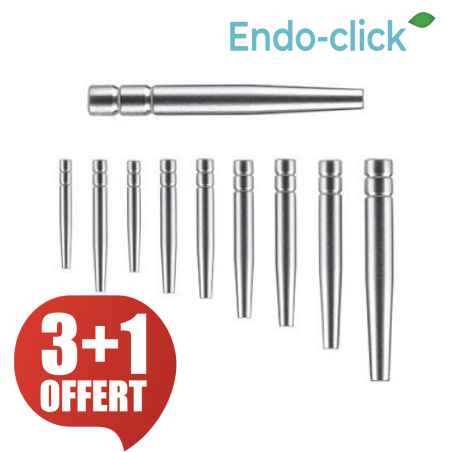 Tenons Cylindro-conique - ENDO-CLICK - Inox 20 pcs