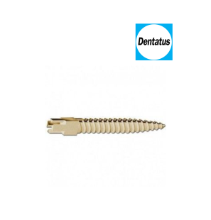 Screw Post Suretex Doré - DENTATUS - 15 Unités