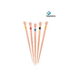 Pointes Gutta Calibrées - SEPTALINE - 60 pcs