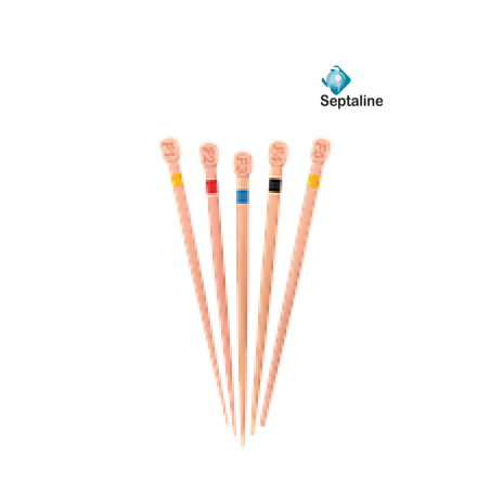 Pointes Gutta Calibrées - SEPTALINE - 60 pcs