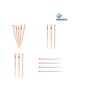 Pointes Gutta Calibrées - SEPTALINE - 60 pcs