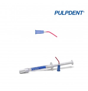 Embout Silane bleu 22G - PULPDENT - 15u