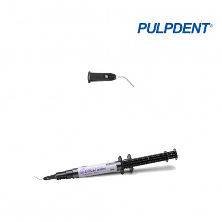 Embout Embrace Sealant noir - PULPDENT - 20u